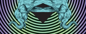 appaloosa_cover
