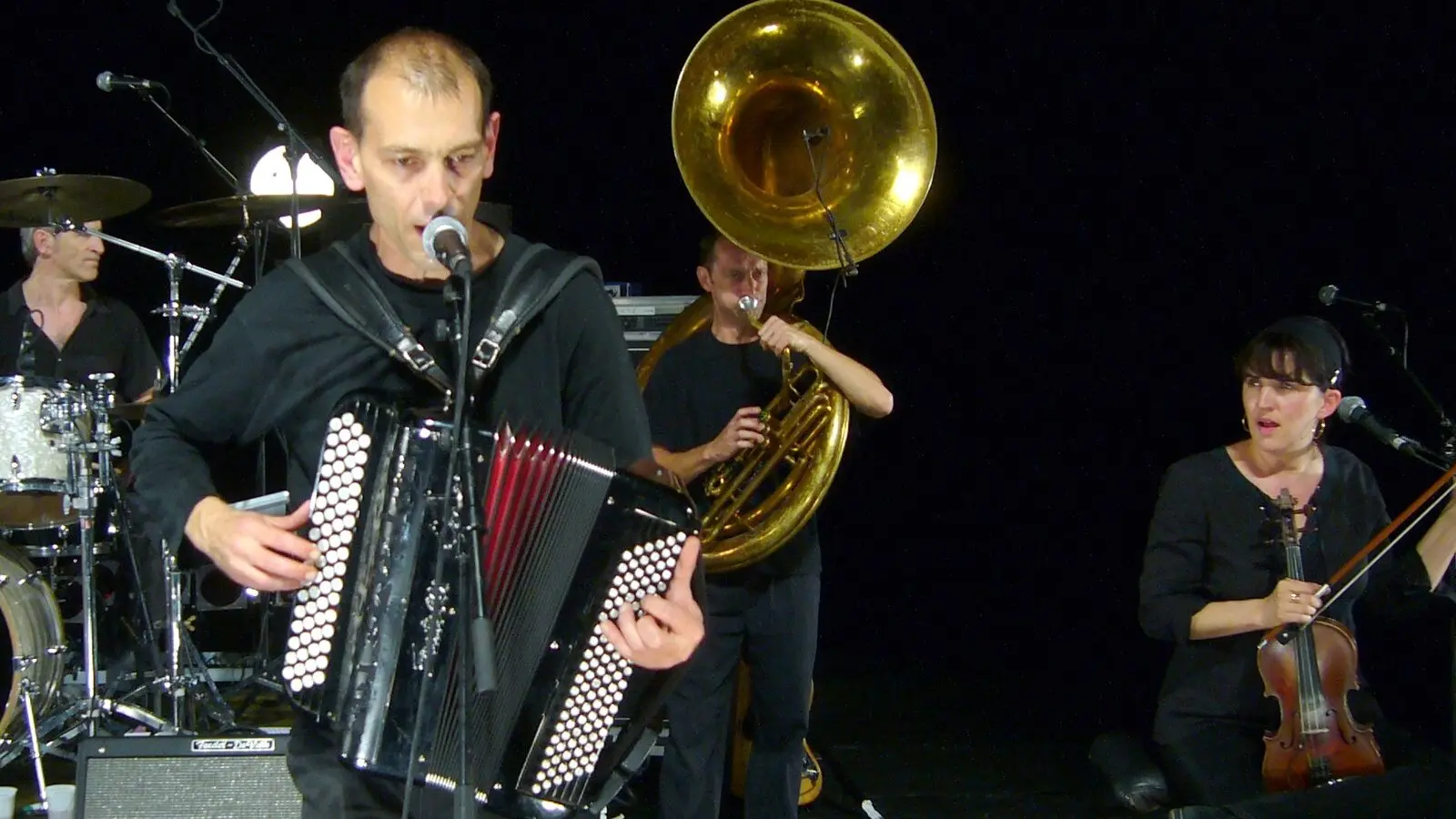 Les Têtes Raides en concert