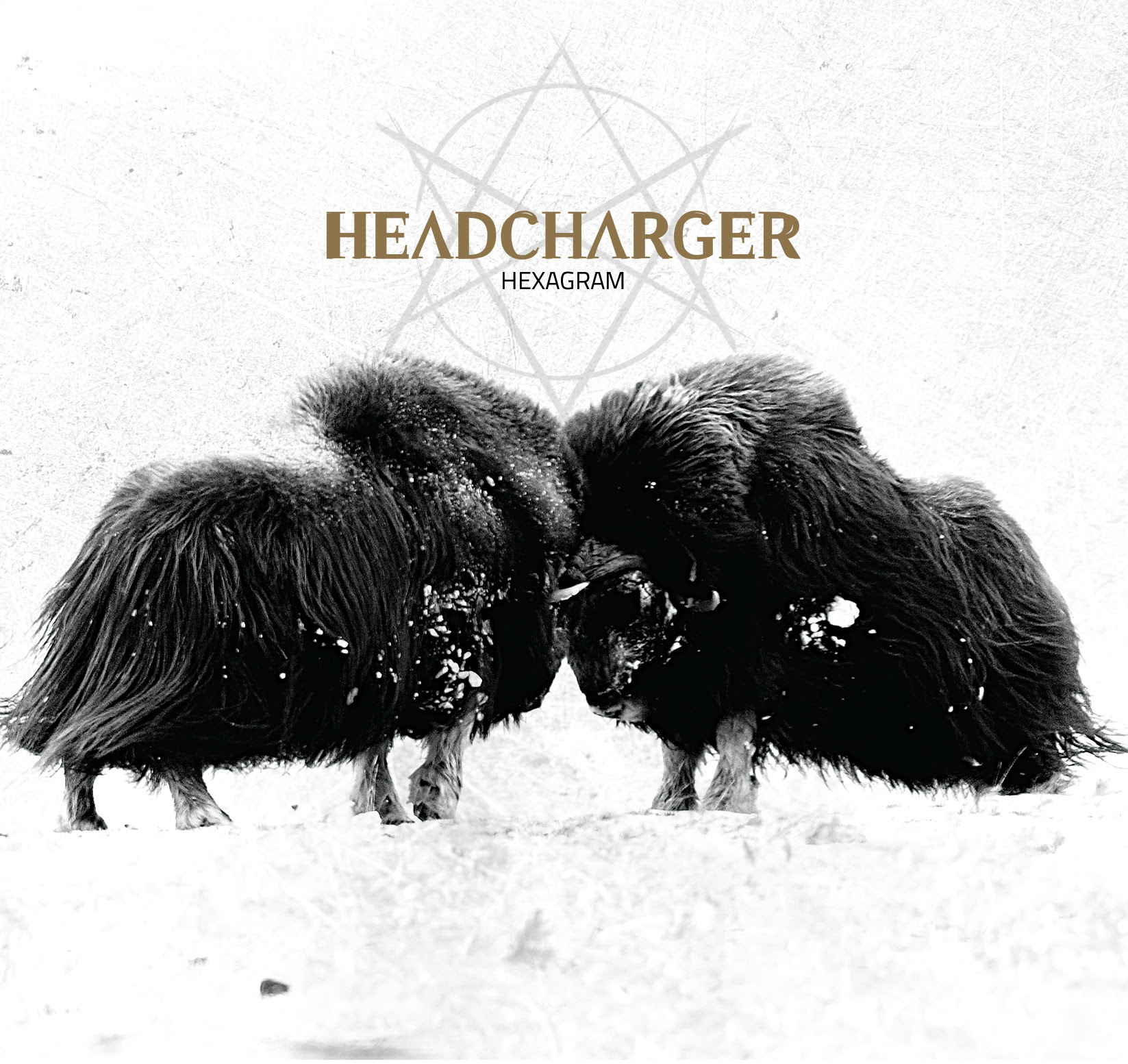 pochette Headcharger - Hexagram