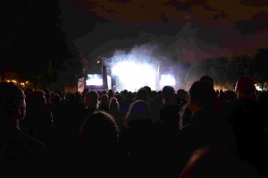 Rock en Seine 113