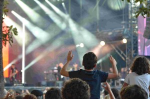 Rock en Seine 244