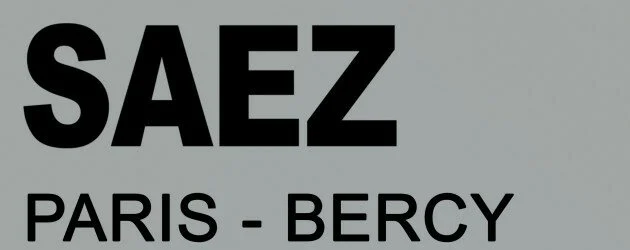 Saez @ Paris (Accor Hotels Arena) – Mardi 03 décembre 2019